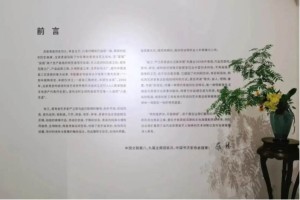 身有余闲，物尽清欢—— “器•像”卫恩青瓷生活美学展在京开展