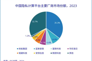 蓝象智联增速领跑第一阵营，稳居头部